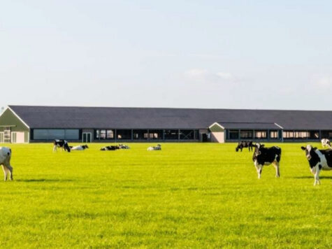 Innovatie aanjagen: het belang van stalverbetering