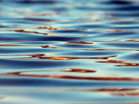 Gezocht: bestuurders namens het bedrijfsleven voor de waterschappen in onze regio