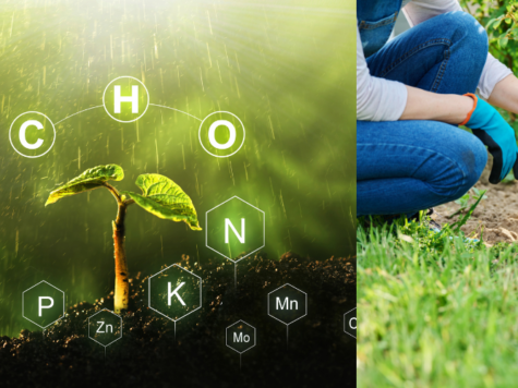 Stikstof in Brabant (antwoord op jouw ondernemersvragen)
