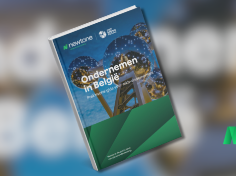 Internationaal ondernemen? Payroll bepaalt hoeveel vrijheid je écht hebt. | Newtone