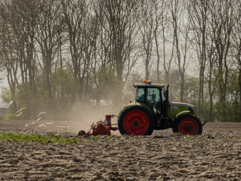 Kabinet moet meer doen dan Nederland van het stikstofslot halen