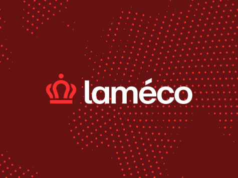 Wat gebeurt er op de AI-modellen markt? | Laméco