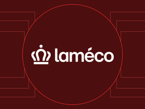 Zeven op de tien mkb’ers gebruikt AI | Laméco